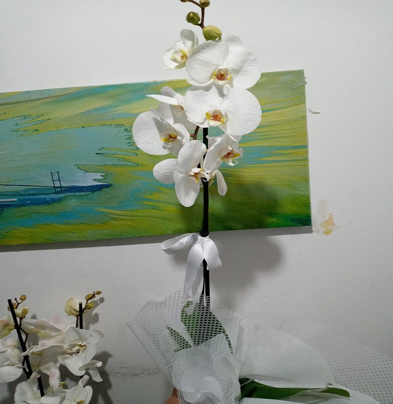 tekli-orkide